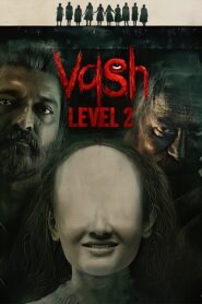 Vash Level 2 (2025) Hindi HDTC