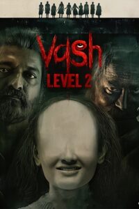 Vash Level 2 (2025) Hindi HDTC