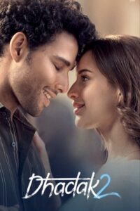 Dhadak 2 (2025) Hindi HD Netflix