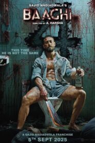 Baaghi 4 (2025) Hindi HDTC