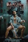 Baaghi 4 (2025) Hindi HDTC