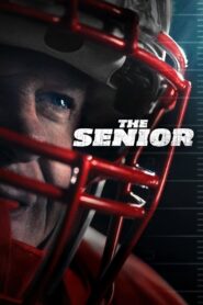 The Senior (2025) Hindi Dubbed CAMRip