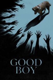 Good Boy (2025) Hindi Dubbed CAMRip