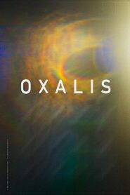 Oxalis (2018) Hindi Dubbed UltraPlay